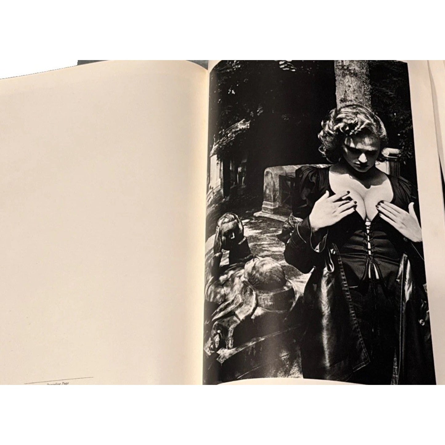 Helmut Newton Special Collection 24 Photo Lithos 1979 First Edition Book Folio